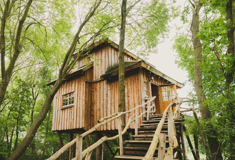 Houten boomhut op palen tussen hoge bomen, met een rustieke trap van boomstammen naar de voordeur
