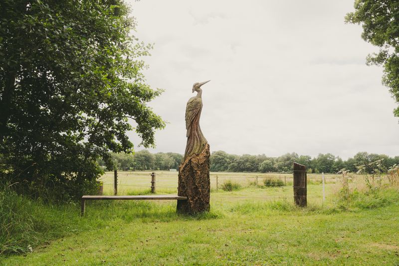 Uit een boomstam gesneden reiger naast een houten bankje, met uitzicht over een weiland